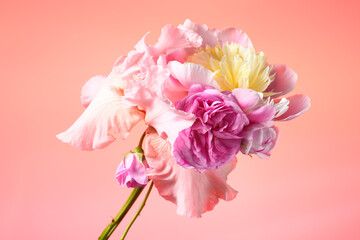 bouquet with white peonies and irises on a pink background.