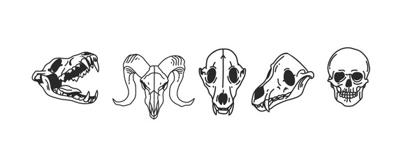 Hand drawn vector abstract stock flat graphic illustrations collection set with logo element of magic skulls of animals and human,line art in simple style for branding,isolated on white background