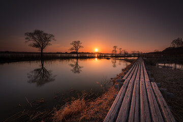 Obraz premium 伊豆沼の夕日