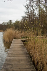Fototapeta premium wooden bridge in the park 