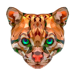 Cat polygonal portrait