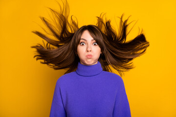 Photo of shiny funny young woman wear purple pullover air blowing hair bloated cheeks isolated yellow color background