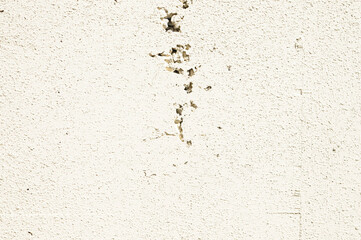 ザラザラしたコンクリートの壁