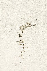 ザラザラしたコンクリートの壁