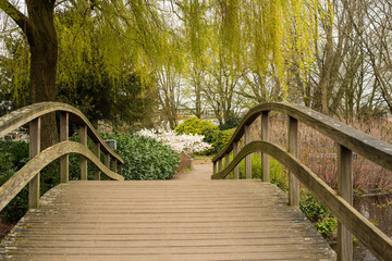 wooden bridge in the park 