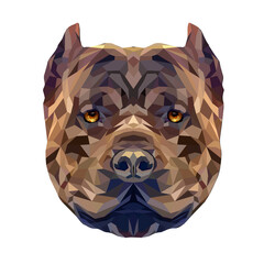 American bully polygonal portrait