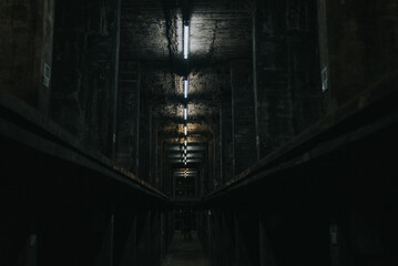 light in the old wine cellar