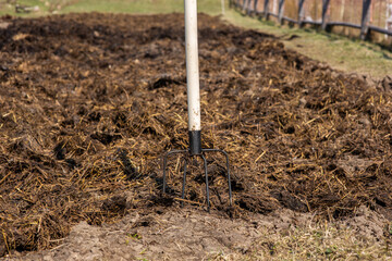 A pitchfork stuck in the ground in front of plowed beds fertilized with organic fertilizer. Plowed land fertilized with manure mixed with straw prepared for planting and growing organic vegetables