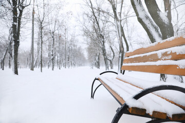 Bench covered with snow outdoors. Space for text