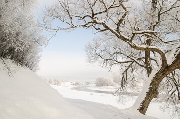 Fototapeta na wymiar Frost on the trees on a snowy winter day. Skrunda, Latvia.
