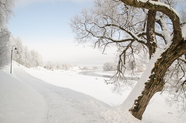 Frost on the trees on a snowy winter day. Skrunda, Latvia.