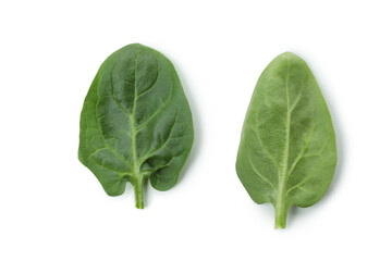Fototapeta premium Fresh spinach leaves isolated on white background