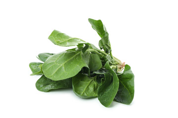 Raw fresh spinach isolated on white background