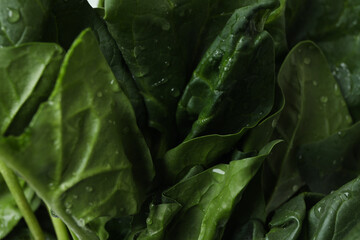 Fresh raw spinach with water, close up
