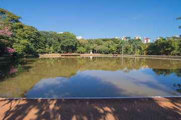 Beautiful sun at Buritis Park