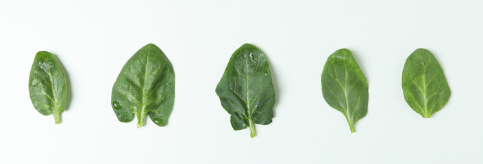 Fototapeta premium Fresh spinach leaves on white background, space for text