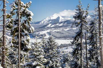 Piękny zimowy widok na panoramę gór Tatry