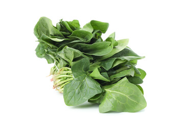 Raw fresh spinach isolated on white background