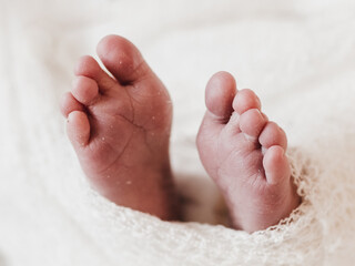 Newborn baby feet photo session in a photo studio 