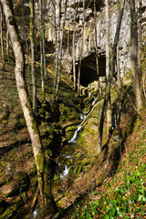 Falkensteiner H&ouml;hle mit Elsachquelle, Schw&auml;bische Alb