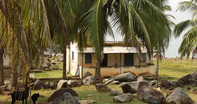 Cape Three Points historic building goats. Southernmost tip of Ghana. Historic lighthouse architectural building for navigation aid. Tropical landscape point of land. Near to equator on ocean coast.