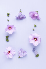 Floral border frame made with hibiscus flowers and leaves on violet background. Trendy creative spring bloom or wedding card concept with copy space. Flat lay, top view backdrop.