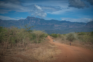 Road in savannah, African landscape, Uganda, Africa