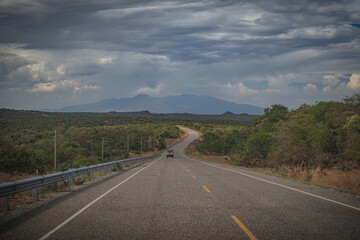 Road in savannah, African landscape, Uganda, Africa
