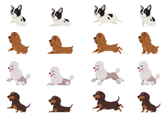 Set of dogs in different poses. French bulldog, Cocker Spaniel, Poodle and Dachshund in cartoon style.