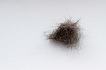 A ball of cat hair against a light background. Wool after grooming a pet on a white background. Cat fur isolated on white background, close up. Copy space. Allergy source