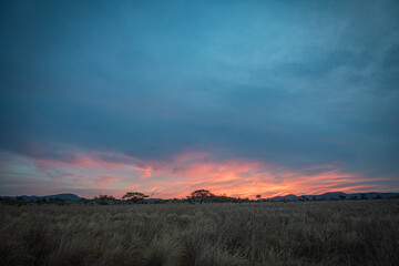 Fototapeta na wymiar Sunrise over in savannah , Uganda, Africa