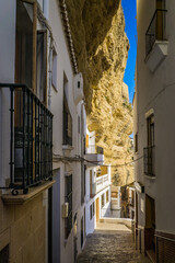 Fototapeta na wymiar the cliff dwellings (troglodyte houses) that made Setenil de las Bodegas a very famous white village (pubelo blanco) of Andalusia (Spain)