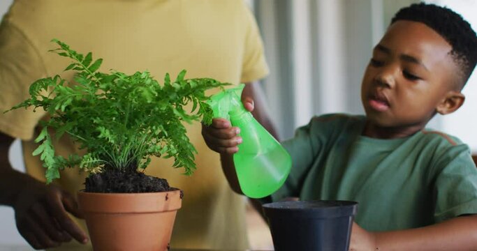 African american boy spraying water on the plant pot at home