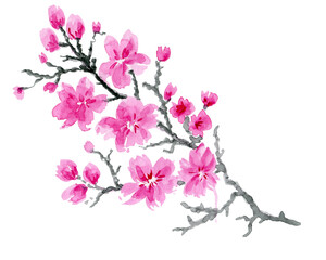 Fototapeta na wymiar Spring pink flower japanese. Nature background branch cherry blossom ,beautiful sakura floral ,japan decoration.