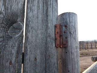 Wooden Fence Door View with Weathered Wall Planks, Old Rusty Hinges and Chains. Agricultural Livestock Building Tree Texture Background