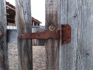 Wooden Fence Door View with Weathered Wall Planks, Old Rusty Hinges and Chains. Agricultural Livestock Building Tree Texture Background