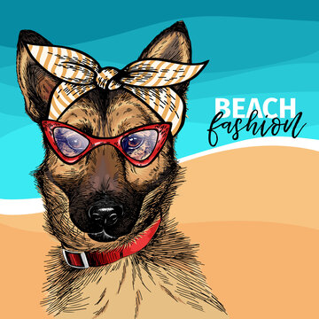 Vector portrait of german shepherd dog wearing sunglasses and retro bow. Summer fashion illustration. Vacation, sea, beach, ocean. Hand drawn pet portait. Poster, t-shirt print, holiday, postcard.