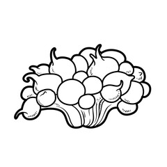 Wide low anemones coloring book linear drawing isolated on white background