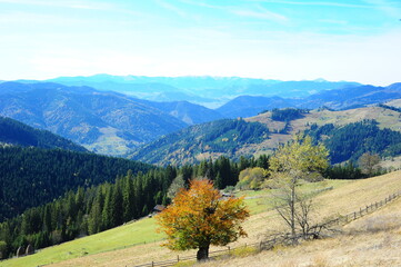 autumn landscape in mountains