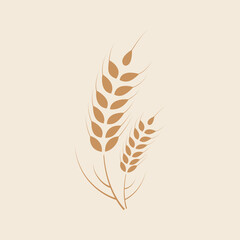 Wheat ears cereal plant grains