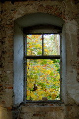 old window in the old wall