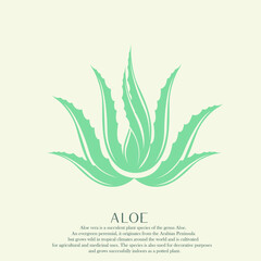 Aloe plant logo.Green nature element isolated on light fund.Organic icon for beauty, spa, eco, natural food, clean environmental brand sign.Fresh bio growth shape.