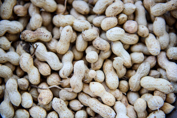 Vegetables, peanuts, pumpkins and sweet potatoes