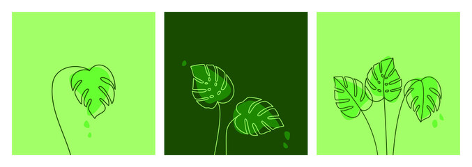 Green vector set of monstera deliciosa leaves
