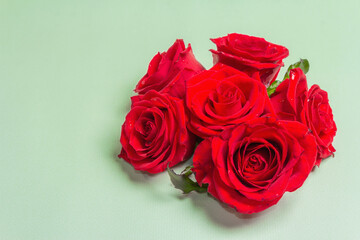 Bouquet of fresh red roses on light green backdrop