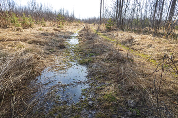Spring landscape with a puddle on the road in the field in the backlight. trees in the background on a sunny day. Dry grass in the foreground.