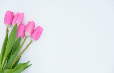 bouquet of pink tulips on a white background