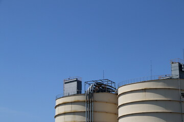 青空に大きなプラント