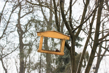 Bird feeder in the form of a brown wooden house hanging from a tree, blurred background. Leafless trees in a spring autumn winter park. Helping homeless birds to animals. Handmade birdhouse outdoors.