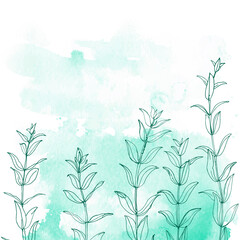 Flowers and herbs line on watercolor background
